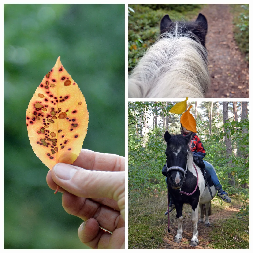 Begleitet statt ausgeliefert